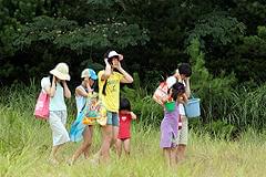 懐かしい田舎の風景が連続する