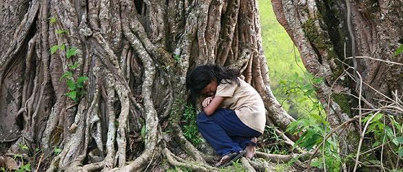 目を覆いたくなるような現実が次々と映し出される……