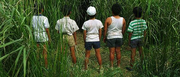 1970年当時の子供たちにとって大阪万博は大きな意味を持っていた……。