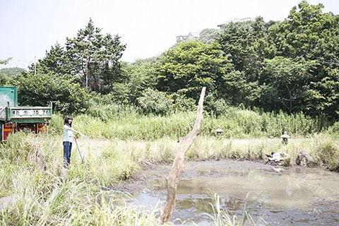 実際は苦労が多かった沼作り