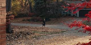 フィンガーネイルズ