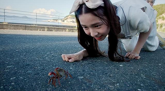 美咲姫の「しまねこ」の画像