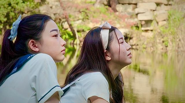 美咲姫の「しまねこ」の画像