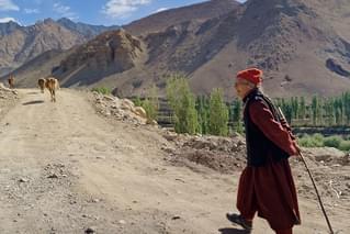 JULLAY 群青のラダック