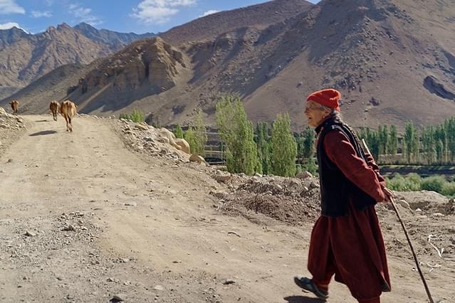 JULLAY 群青のラダック