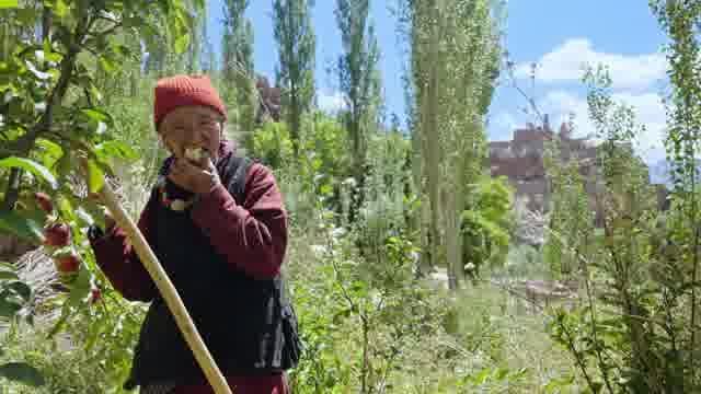 Music by HEA 特別編映像