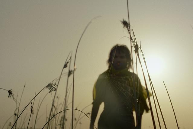 鳥たちへの説教