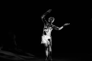 Somebody Comes into the Light