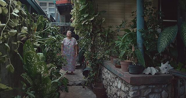 シェイラ・フランシスコの「レオノールの脳内ヒプナゴジア（半覚醒）」の画像