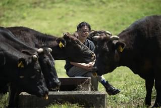 ケト・サピエンスは牧草牛の夢を見るか？の予告編・動画