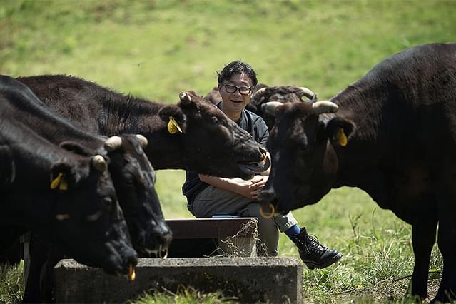 ケト・サピエンスは牧草牛の夢を見るか？