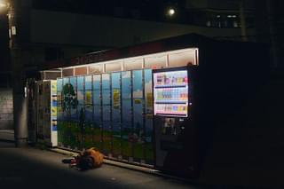 思い立っても凶日