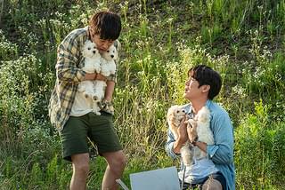 マイ・ハート・パピー