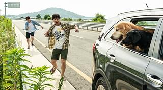 マイ・ハート・パピー