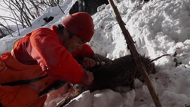 東出昌大の「WILL」の画像