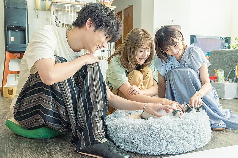 三日月とネコ : 作品情報・キャスト・あらすじ・動画 - 映画.com