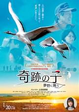 奇跡の子 夢野に舞う