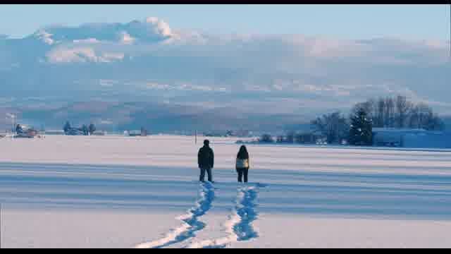 国内版ロング予告