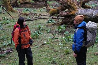 告白 コンフェッション