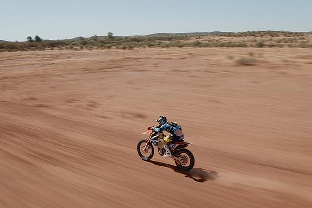 フィンク 悠久の大地を駆ける