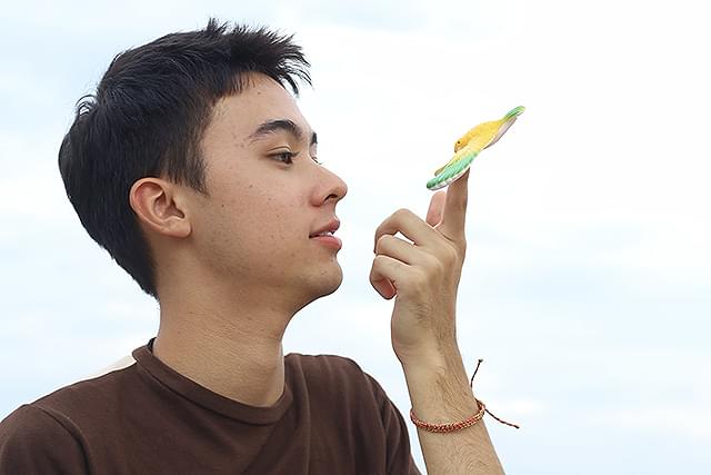 アンソニー・ブイサレートの「ふたごのユーとミー 忘れられない夏」の画像