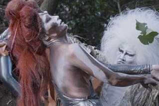 倭文（しづり） 旅するカジの木の予告編・動画