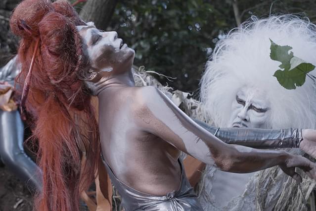 倭文（しづり） 旅するカジの木