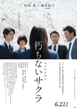 朽ちないサクラ