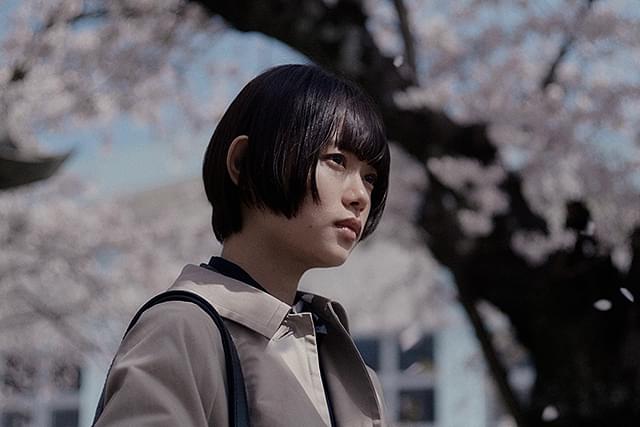 杉咲花の「朽ちないサクラ」の画像