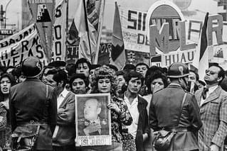 革命する大地の評論