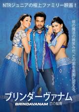 ブリンダーヴァナム 恋の輪舞