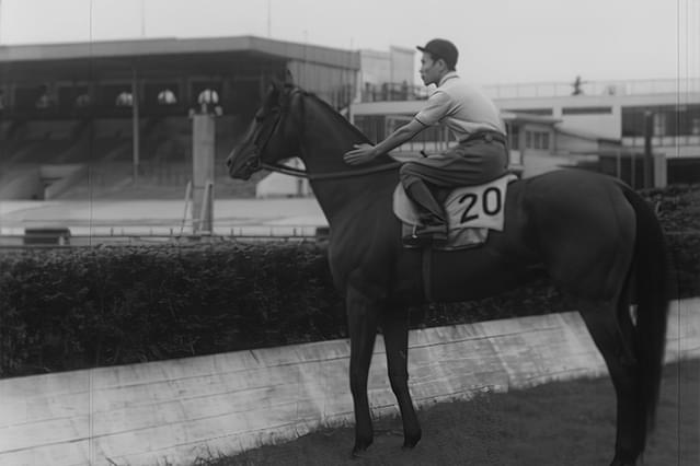 サラブレッド わが愛 大障碍の記録