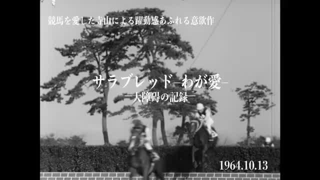 「TBSレトロスペクティブ映画祭」予告編