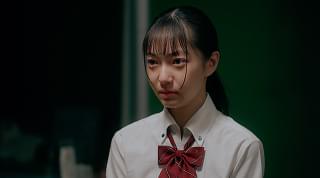 猫と私と、もう1人のネコ