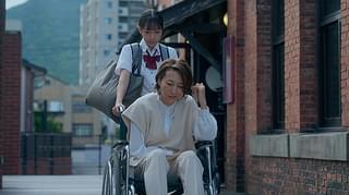 猫と私と、もう1人のネコ