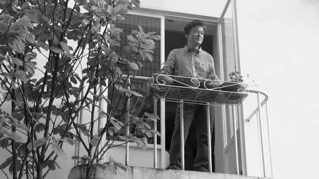 予告編（ショート版）