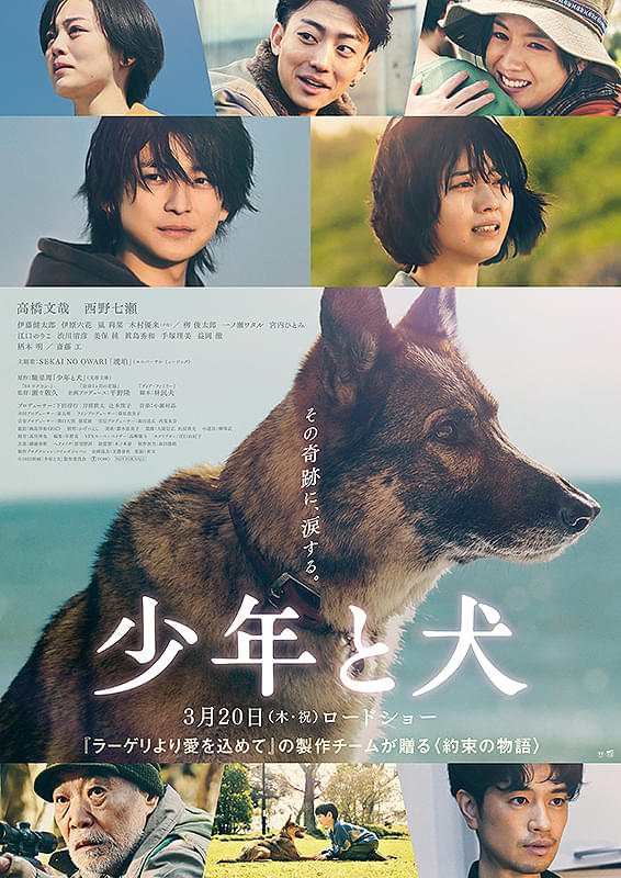 少年と犬 : ポスター画像 - 映画.com