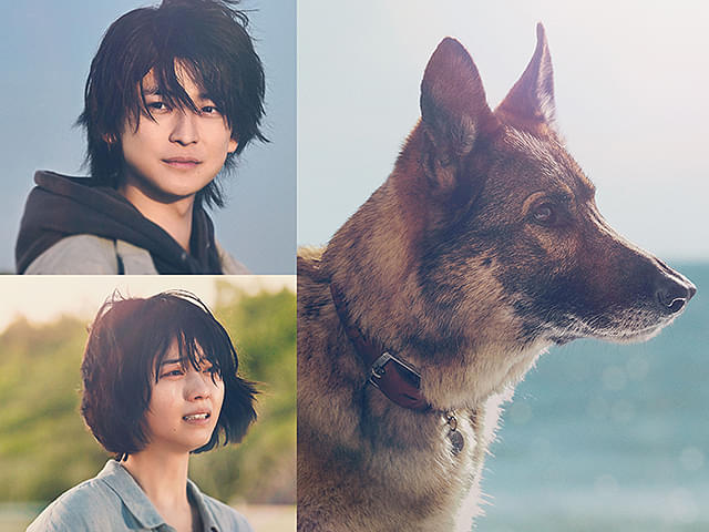 少年と犬 : 作品情報・キャスト・あらすじ - 映画.com