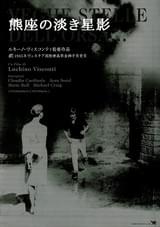 熊座の淡き星影