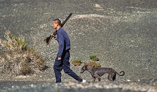 ブラックドッグ