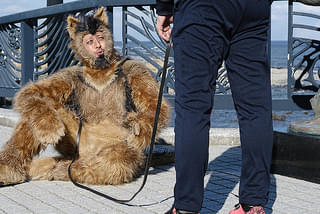 THE オリバーな犬、（Gosh!!）このヤロウ MOVIE