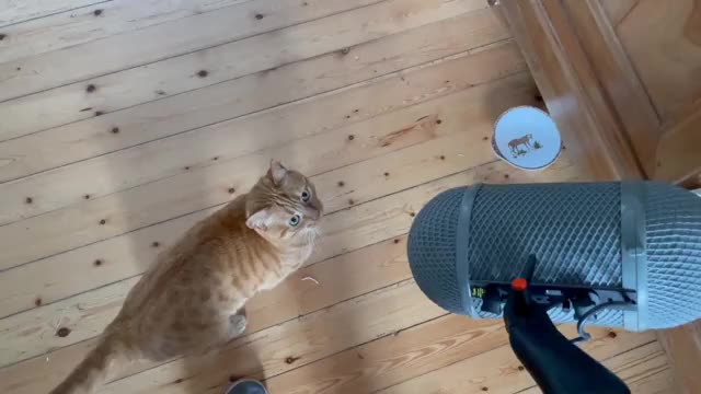 レコーディング風景映像