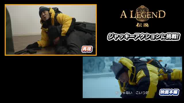 ジャッキーちゃんアクション映像