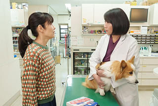 映画 おっさんのパンツがなんだっていいじゃないか！