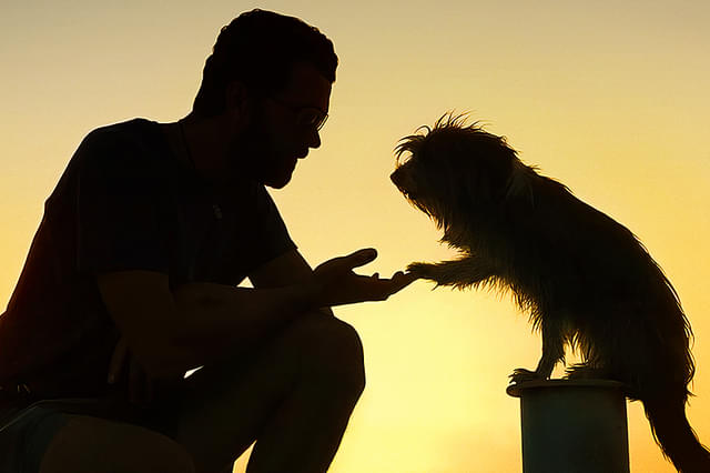 ペット、最高！