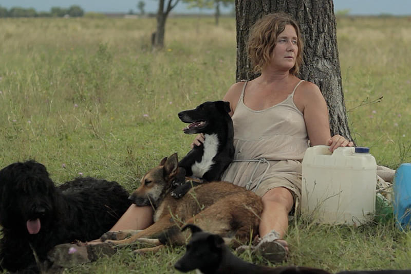 ドッグ・レディ