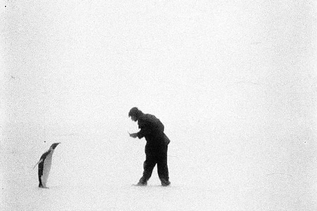 動物誌、植物誌、鉱物誌