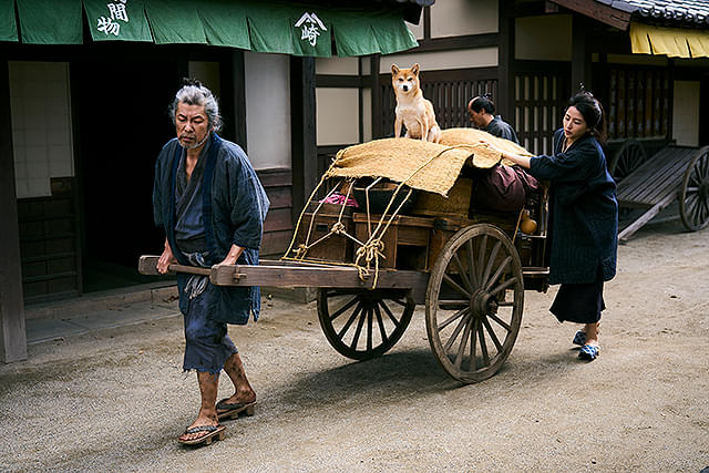 長澤まさみの「おーい、応為」の画像