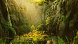 画像10