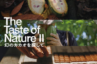 The Taste of Nature II 幻のカカオを探して